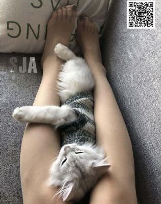 人妻少妇视频一区二区三区_国产剧在线观看电视